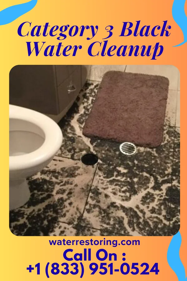 Category 3 Black Water Cleanup in Palmetto, GA